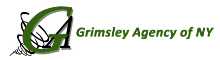 Grimsley Agency of NY - North Syracuse - Logo